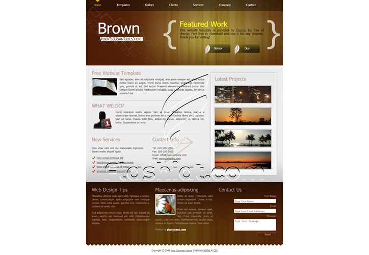 Brown 2 - Free XHTML & CSS Template - Flashiat