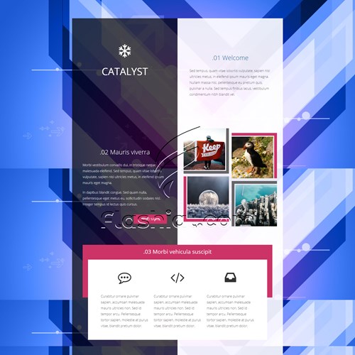 catalyst-free-html5-css-template-flashiat